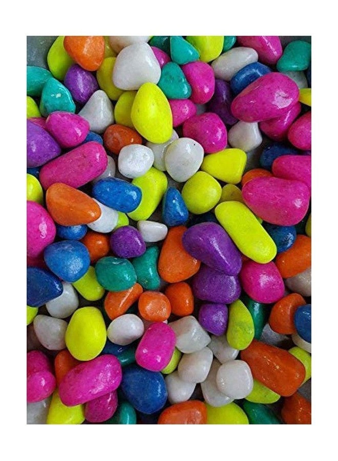 Somil Multicolor Pebbles/Stones for Garden, Plants, Lawns, Aquariums, Fish Pots, Home Decor, Vases, Furniture Filler. Size: 10-30mm, Shiny Multicolor -A575 - Image 1